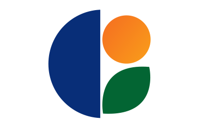 Individual Investor