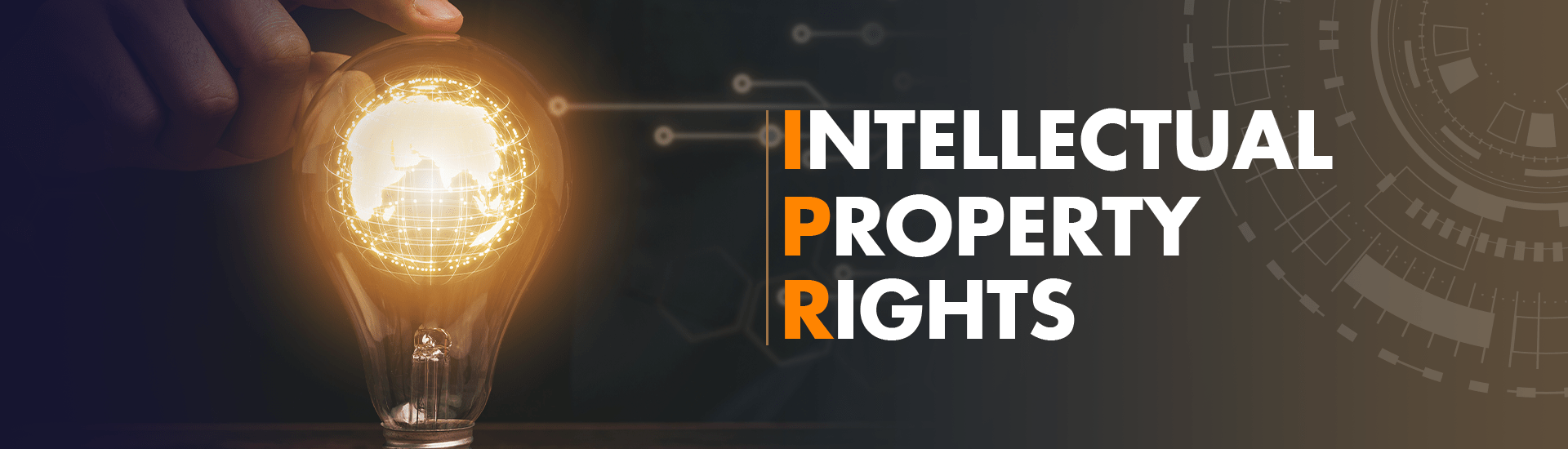 intellectual 
property rights