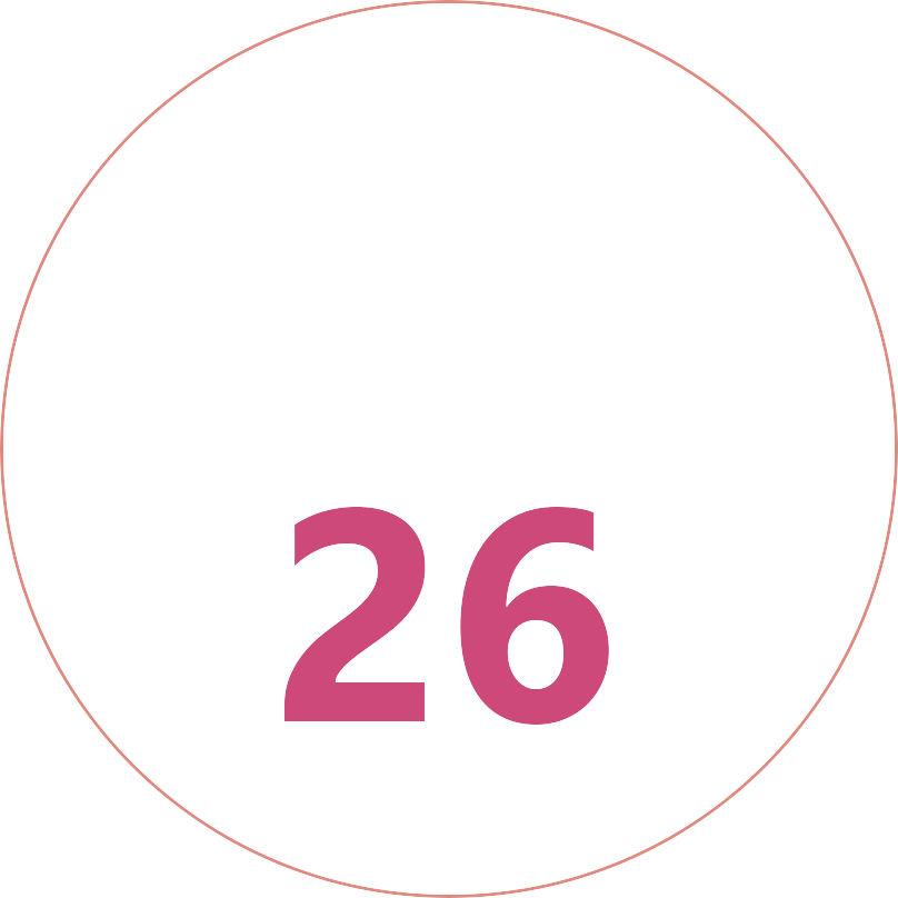 Citizen Security Services