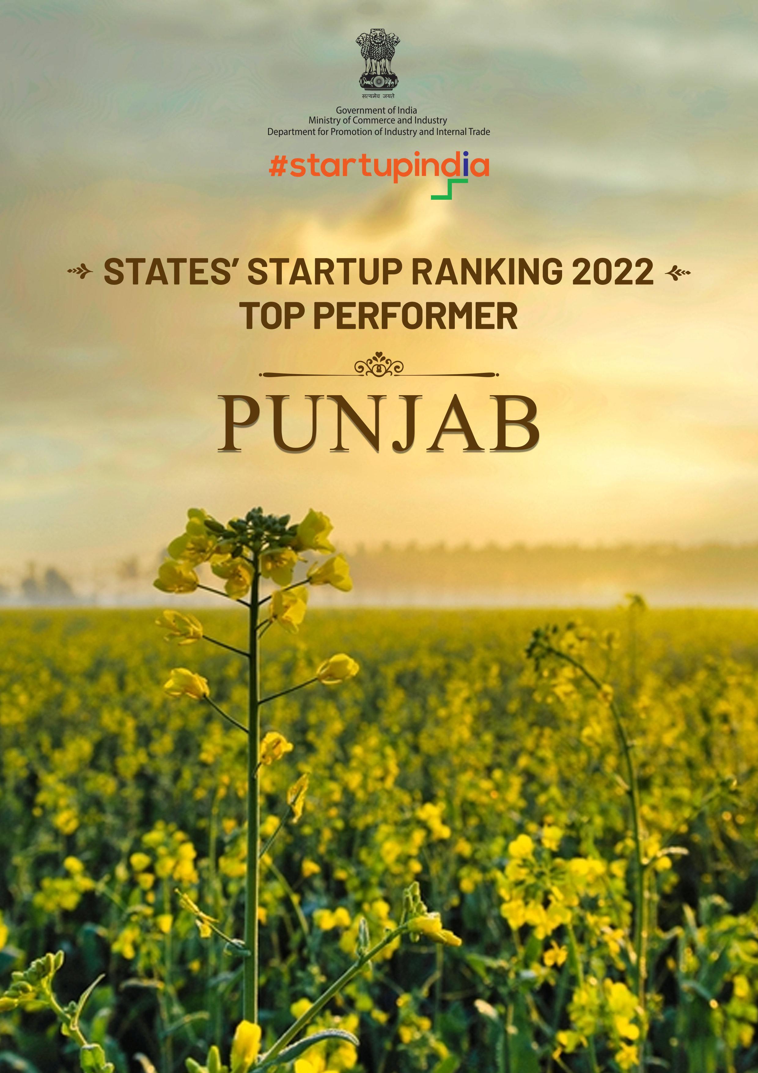 punjab SRF Report